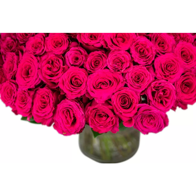 kytice růžových růží